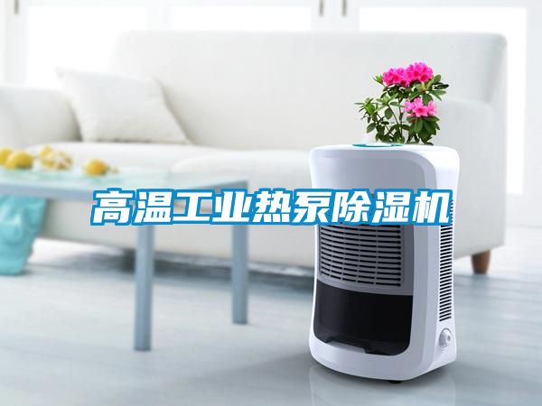 高溫工業(yè)熱泵除濕機