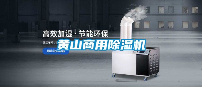 黃山商用除濕機