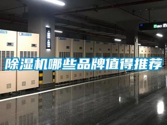 企業新聞除濕機哪些品牌值得推薦