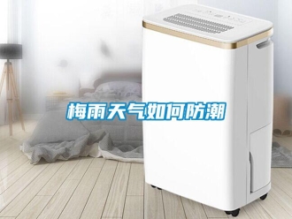 常見問題梅雨天氣如何防潮