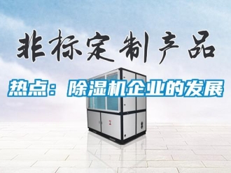 行業(yè)新聞熱點(diǎn)：除濕機(jī)企業(yè)的發(fā)展