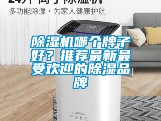 企業新聞除濕機哪個牌子好？推薦最新最受歡迎的除濕品牌