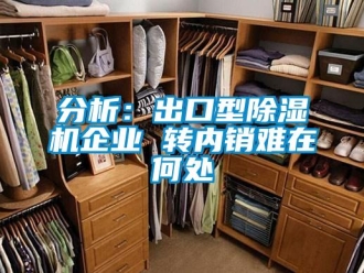 企業新聞分析：出口型除濕機企業 轉內銷難在何處