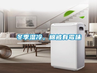 企業(yè)新聞冬季濕冷，棉被有霉味