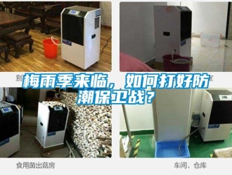 常見問題梅雨季來臨，如何打好防潮保衛戰？