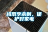 汗蒸可以祛濕