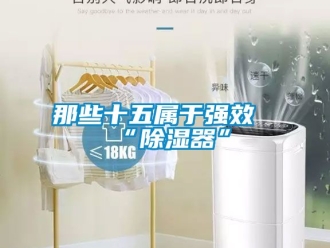 行業新聞那些十五屬于強效“除濕器”