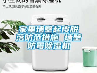行業(yè)新聞家里墻壁起皮脫落防范措施 墻壁防霉除濕機(jī)