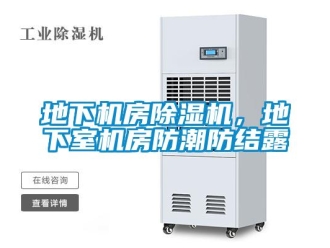 企業(yè)新聞地下機(jī)房除濕機(jī)，地下室機(jī)房防潮防結(jié)露