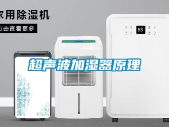 企業(yè)新聞超聲波加濕器原理