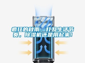 企業新聞瘋狂的秋雨，打亂生活節奏，除濕機還是用起來！