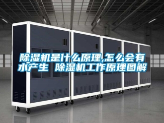 行業新聞除濕機是什么原理,怎么會有水產生 除濕機工作原理圖解