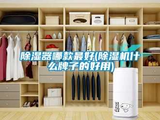 行業新聞除濕器哪款最好(除濕機什么牌子的好用)