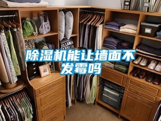 行業(yè)新聞除濕機(jī)能讓墻面不發(fā)霉嗎