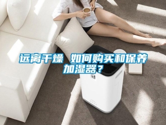 常見問題遠離干燥 如何購買和保養(yǎng)加濕器？