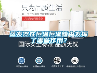 知識百科蒸發器在恒溫恒濕箱中發揮了哪些作用？