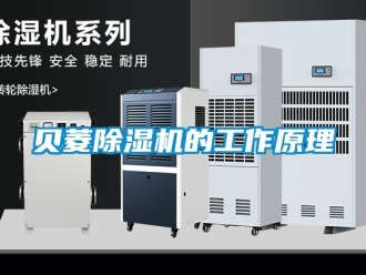企業新聞貝菱除濕機的工作原理