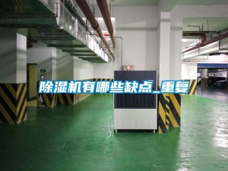 行業新聞除濕機有哪些缺點_重復