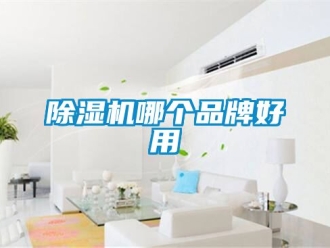 企業(yè)新聞除濕機(jī)哪個品牌好用