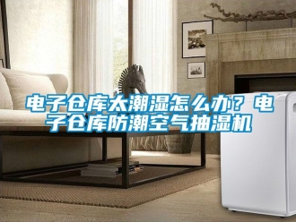 企業新聞電子倉庫太潮濕怎么辦？電子倉庫防潮空氣抽濕機