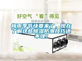 行業(yè)新聞梅雨季節(jié)快要來了，現(xiàn)在了解這些除濕防潮技巧還不晚！