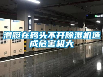 行業新聞潛艇在碼頭不開除濕機造成危害極大