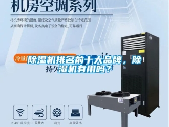 企業(yè)新聞除濕機排名前十大品牌，除濕機有用嗎？