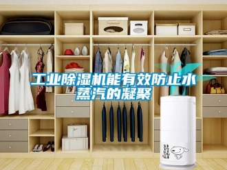 企業新聞工業除濕機能有效防止水蒸汽的凝聚