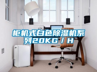 行業(yè)新聞柜機式白色除濕機系列20KG／H