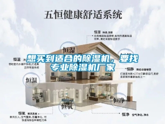 知識百科想買到適合的除濕機，要找專業除濕機廠家