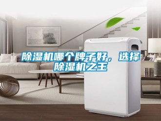 行業新聞除濕機哪個牌子好，選擇除濕機之王