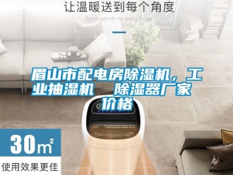 企業(yè)新聞眉山市配電房除濕機(jī)，工業(yè)抽濕機(jī)  除濕器廠家 價格