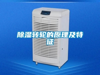 常見問題除濕轉(zhuǎn)輪的原理及特征