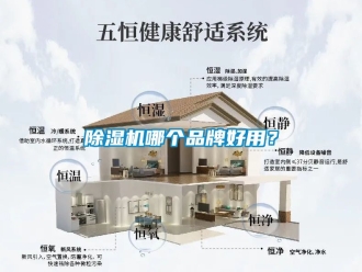 企業(yè)新聞除濕機(jī)哪個品牌好用？