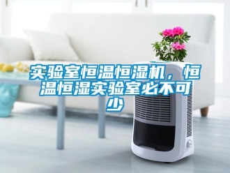 知識百科實驗室恒溫恒濕機，恒溫恒濕實驗室必不可少