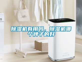 行業新聞除濕機有用嗎，除濕機哪個牌子的好