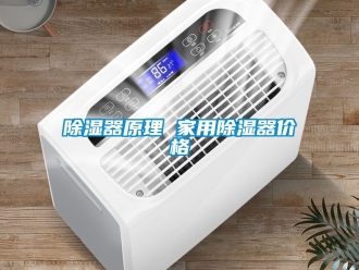 行業新聞除濕器原理 家用除濕器價格