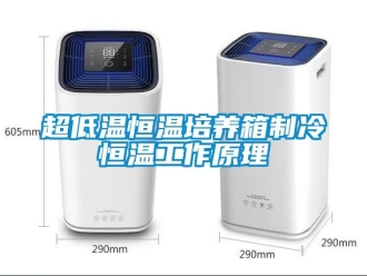 知識百科超低溫恒溫培養(yǎng)箱制冷恒溫工作原理