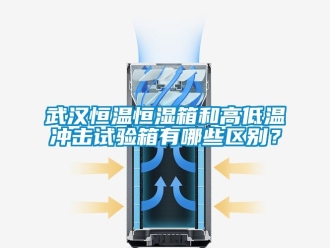 知識百科武漢恒溫恒濕箱和高低溫沖擊試驗箱有哪些區(qū)別？
