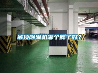 企業新聞吊頂除濕機哪個牌子好？