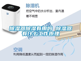 行業新聞除濕器除濕有用嗎 除濕器有什么工作原理