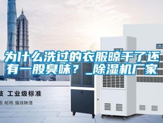 知識百科為什么洗過的衣服晾干了還有一股臭味？_除濕機廠家