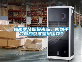 常見問題梅雨季節即將來臨，剛到手的春白茶該如何保存？