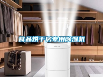 行業新聞食品烘干房專用除濕機