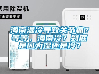 行業(yè)新聞海南濕冷導(dǎo)致關(guān)節(jié)痛？等等，海南冷？到底是因?yàn)闈襁€是冷？