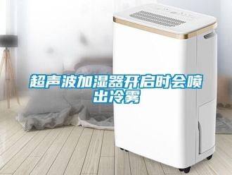 企業(yè)新聞超聲波加濕器開(kāi)啟時(shí)會(huì)噴出冷霧