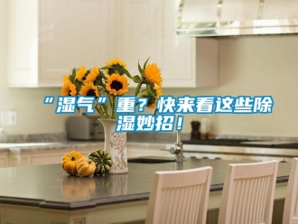常見問題“濕氣”重？快來看這些除濕妙招！