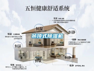 企業新聞吊頂式除濕機