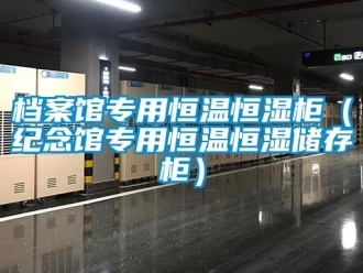 知識百科檔案館專用恒溫恒濕柜（紀念館專用恒溫恒濕儲存柜）