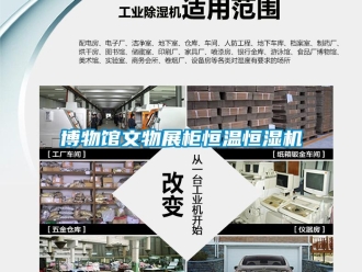 常見問題博物館文物展柜恒溫恒濕機